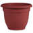 Burnt Red is out of stock