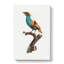 Magnificent Bird Of Paradise by Jacques Barraband - Wrapped Canvas-55365119