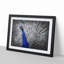 Peacock with Its Feathers Spread - Picture Frame Graphic Art Print on MDF-55739116-55739112