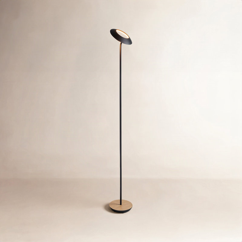 Royyo LED Floor Lamp, Matte Black/White Oak