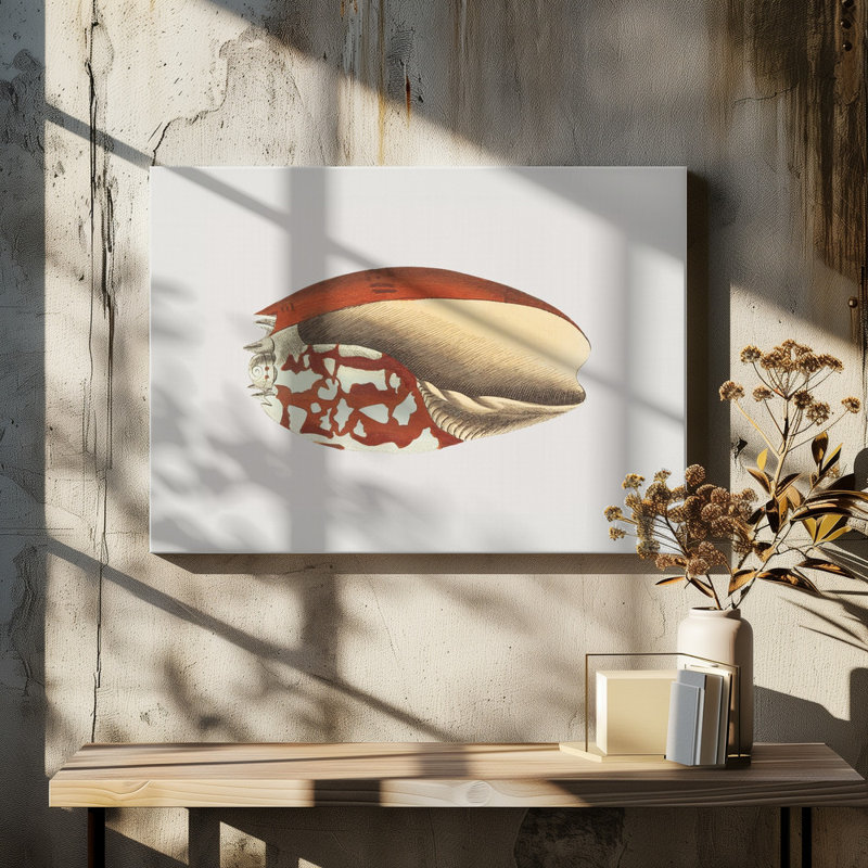 Wrapped Canvas Print, 50.8 cm H x 76.2 cm W