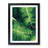 Aagman Fern Leaf In Watercolour Vol.2 - Single Picture Frame Print-947182389-947182384