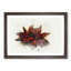 Star Anise in Abstract - Framed Print-55729854-55729857