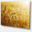 Golden Wheat Field - reproduction de photo sur toile tendue-1237133144