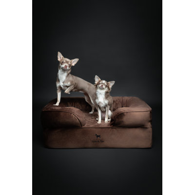 Noah & Paw Giant Dog Bed XXL,  Orthopedic Dog Beds, Eggshell Memory Foam Infused with Cooling Gel, Inner Cover, Waterproof, Machine Washable (Velvet Sofa Collection)