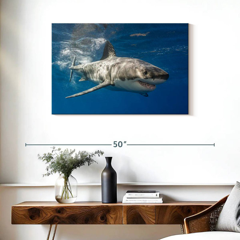 Shark, 24" H x 36" W