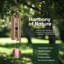 Carillons extérieurs 6 tubes Nature's Melody-88195084-88195087