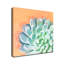 « réveil iv », impression sur toile succulent-1573695918-1573695919
