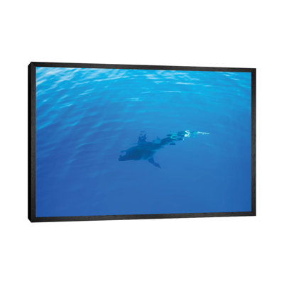 Hawaiian Shark IV 1 Piece Wall Art on Canvas