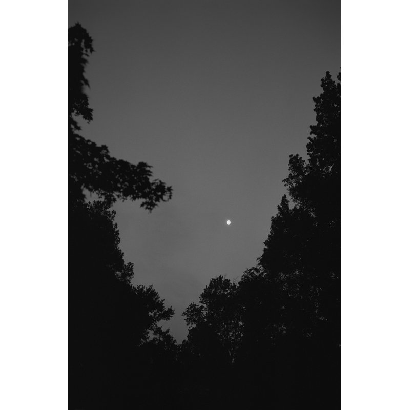 Autumn Moon by Tony Smith - Wrapped Canvas Photograph, 30 cm H x 20 cm W