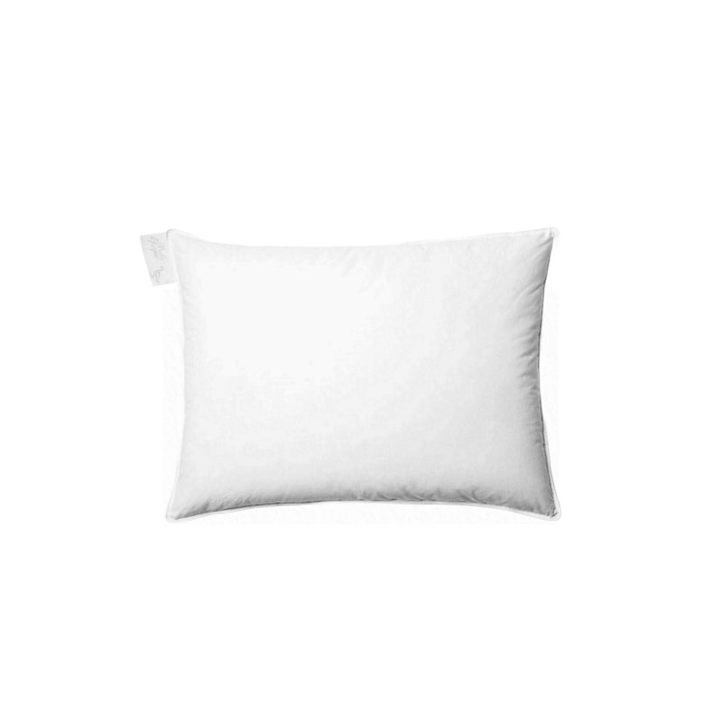 Studio Down Pillow, Rectangle 20" H x 26" W