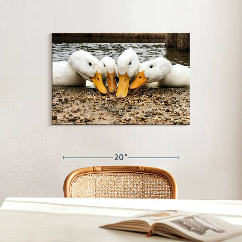 Pekin Ducks de Brampt, H 16 po x l 24 po