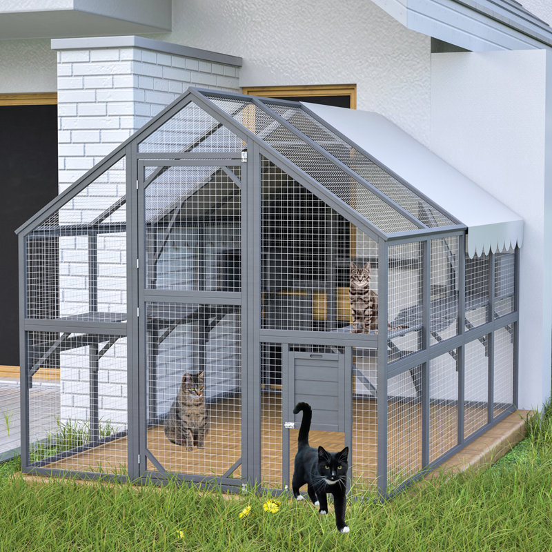 Aire de jeu spacieuse pour chat avec 2 ponts et plusieurs plateformes pour le divertissement des chats