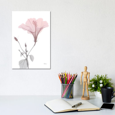 Hibiscus Pink by Albert Koetsier - Wrapped Canvas Print