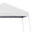 10 Ft. W x 10 Ft. D Steel Pop-Up Canopy-49707934-90580385