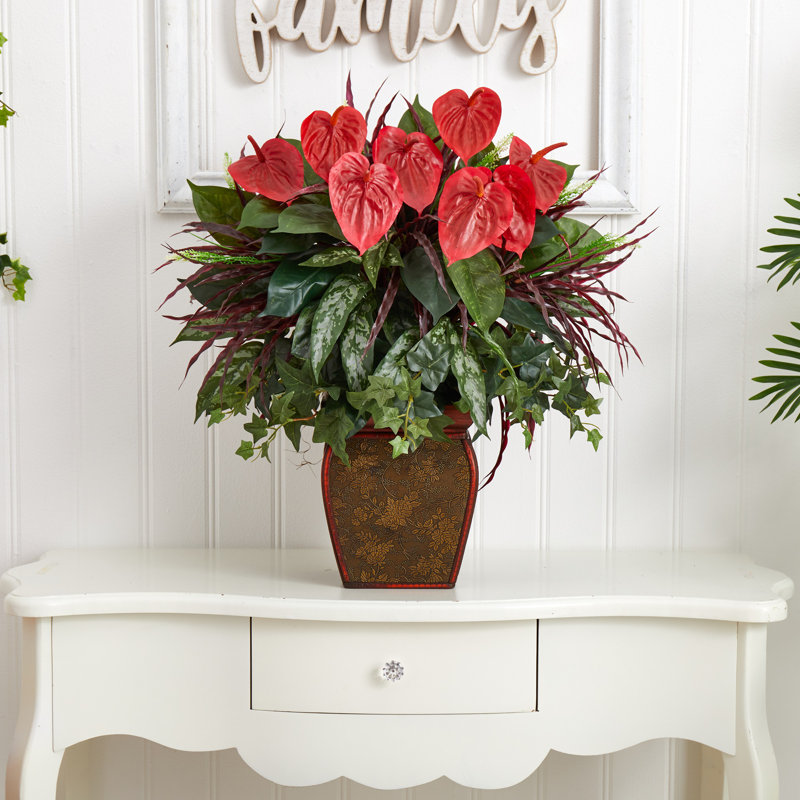 Anthurium plante à fleurs mélangée en pot