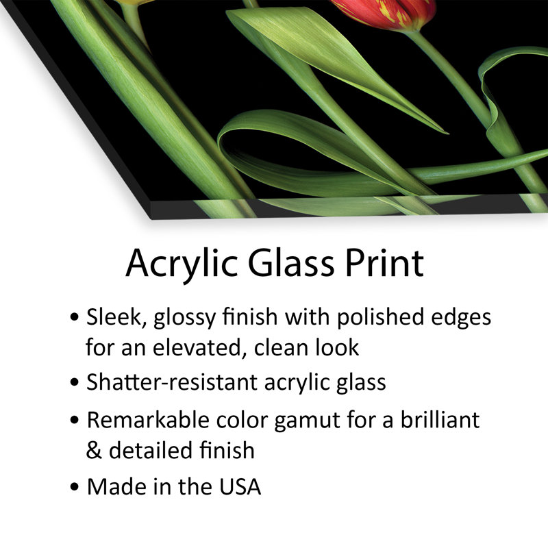 Tulipe X, impression sur verre acrylique