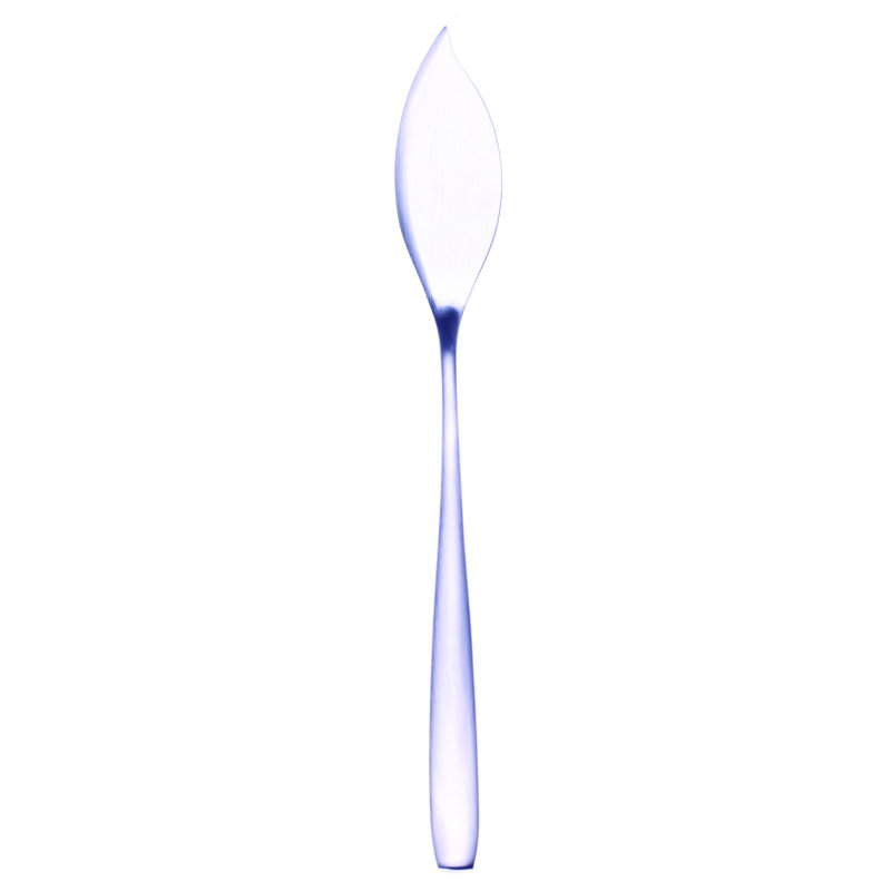 Avanguardia Stainless Steel Dinner Knife