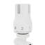 Straight Thermostatic Valve And Manual Radiator Valve For Heated Towel Rail Radiator-924044958
