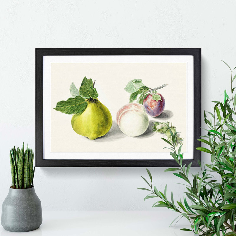 Pear & Plum by E.G. Van De Kasteele - Picture Frame Painting Print, 27cm H x 36cm W x 2cm D, Black Framed