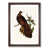 Walnut Framed