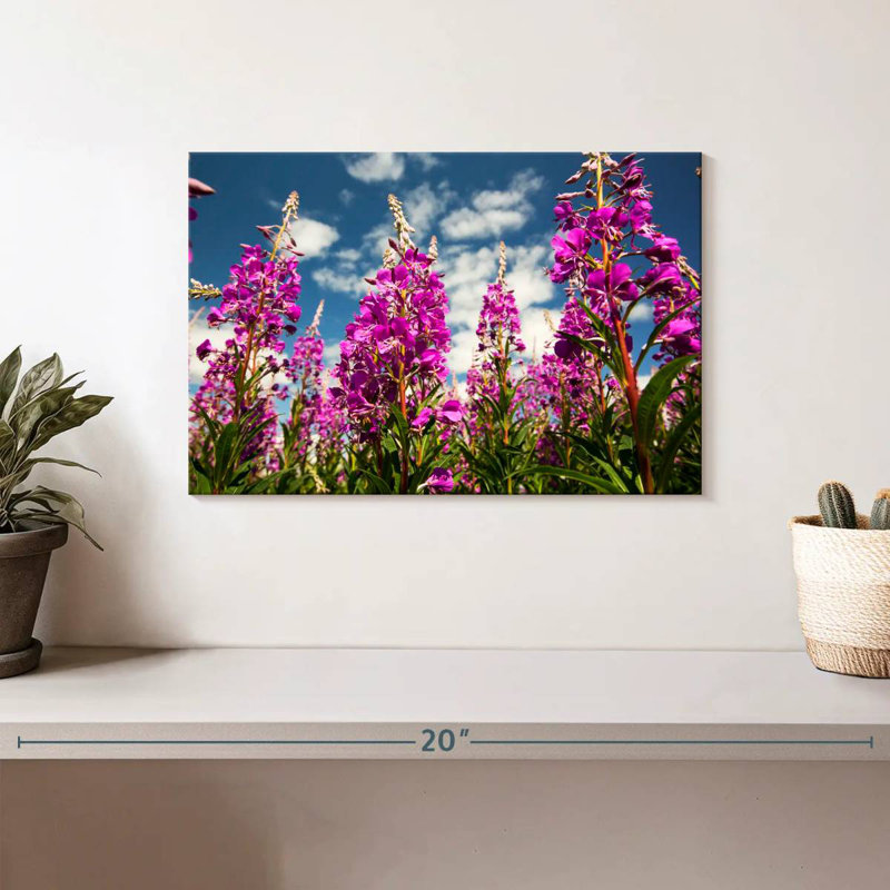 Fireweed Blooms, 8" H x 12" W