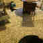 Customer photo 1 of 2