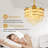 Chozen 43.3'' Ceiling Fan with LED Lights