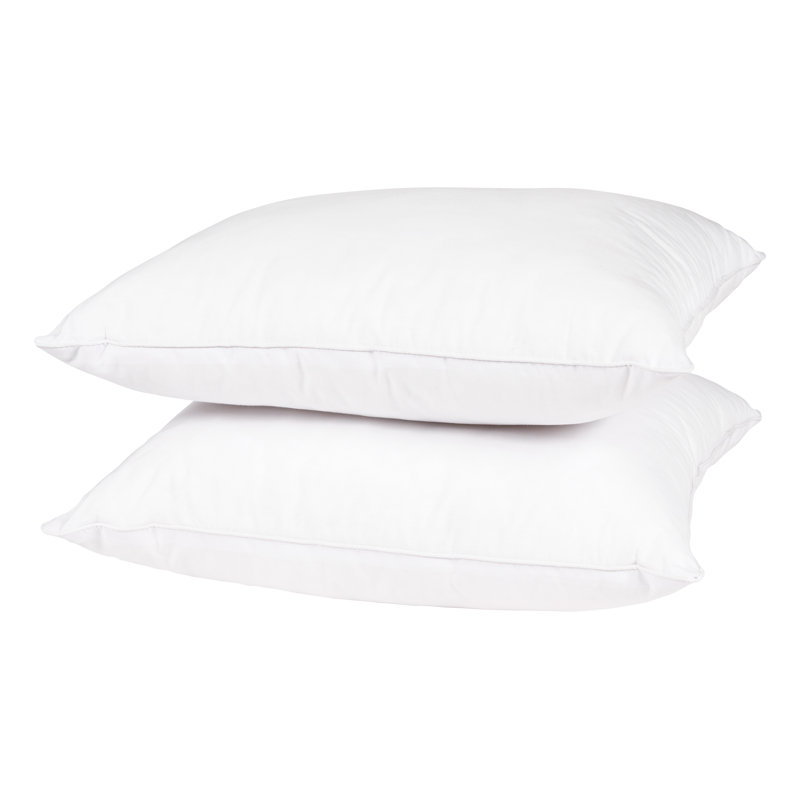 Wayfair Basics® Didomenico Euro Square Pillow Insert, 18" x 18"