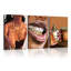 3 Piece Wrapped Canvas Print