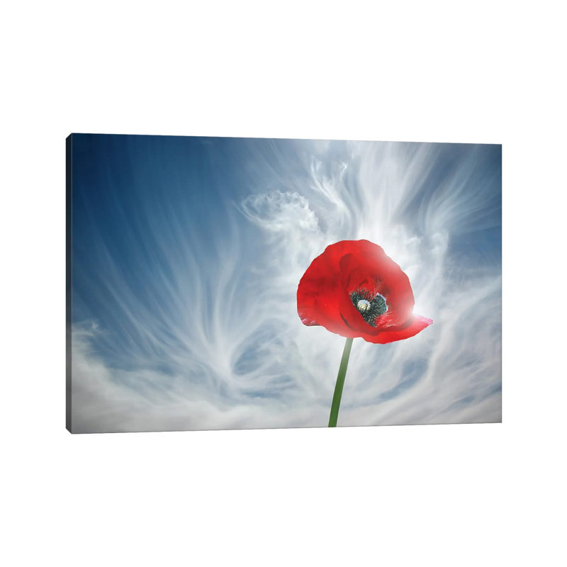 You Drive Me Crazy by Ben Heine - Floater Frame Print on Canvas, Wrapped Canvas, 66.04 cm H x 45.72 cm W x 1.91 cm D