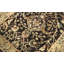 Avalon One-of-a-Kind 2'7" X 12'6" Area Rug