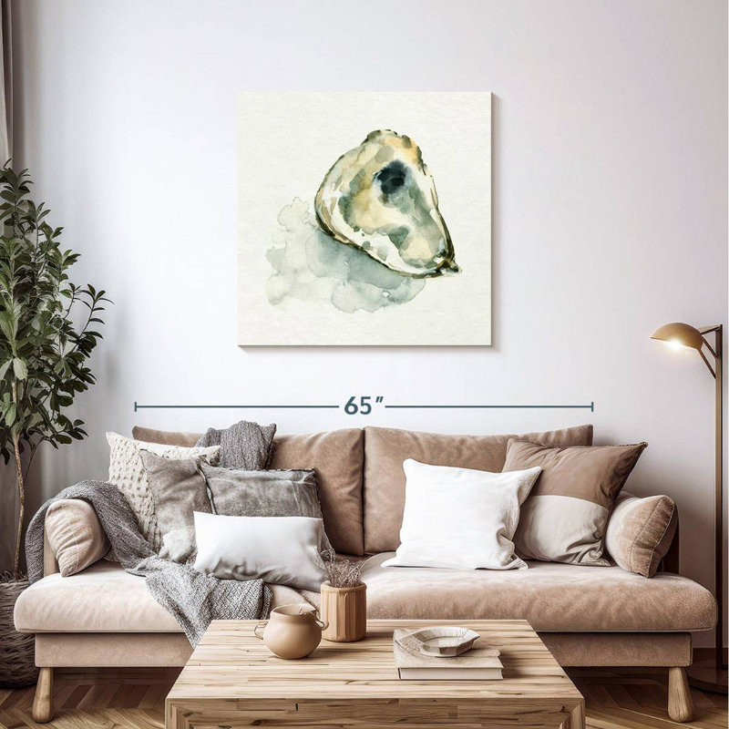 Aletra Old Salt Shell II