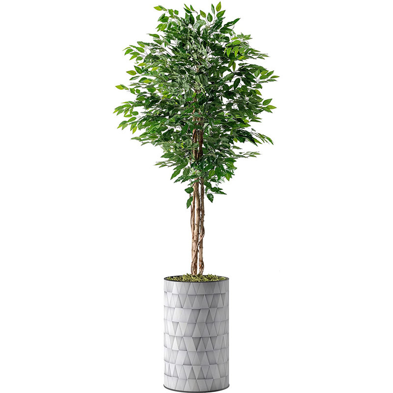 66 " H Faux Ficus Plant in Plastic Planter