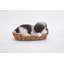 Statue chiot panier en osier Shih Tzu