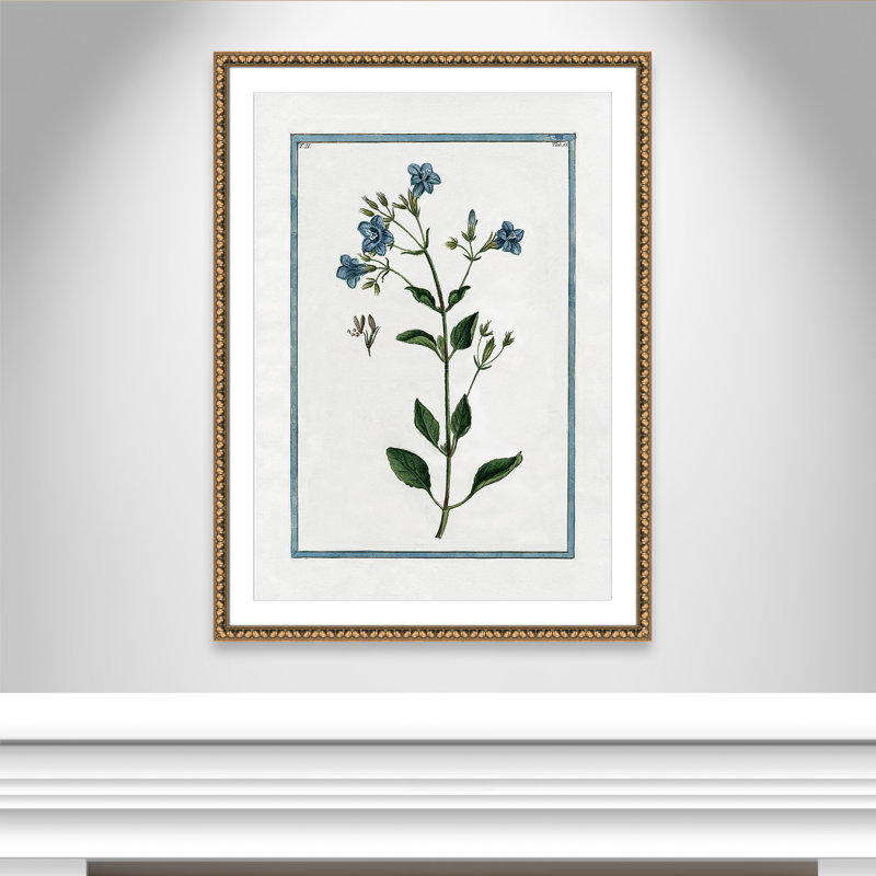 Colombe Shabby Elegance Botanical II - Art encadré, Cadre en perle d'or, L 30,5 po x H 42,5 po