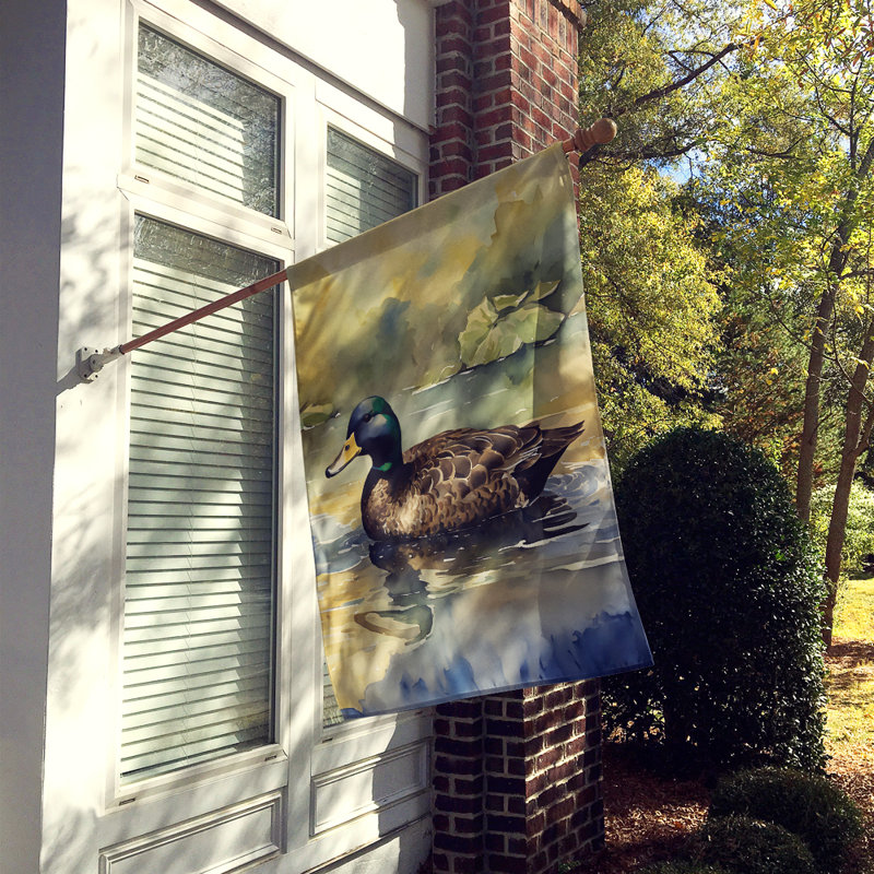 Drapeau de l'American Black Duck House