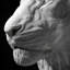Bianney Handmade Traditional Animals Wall Decor on Stone