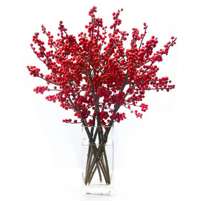 Holiday Berries in Waterlook Planter