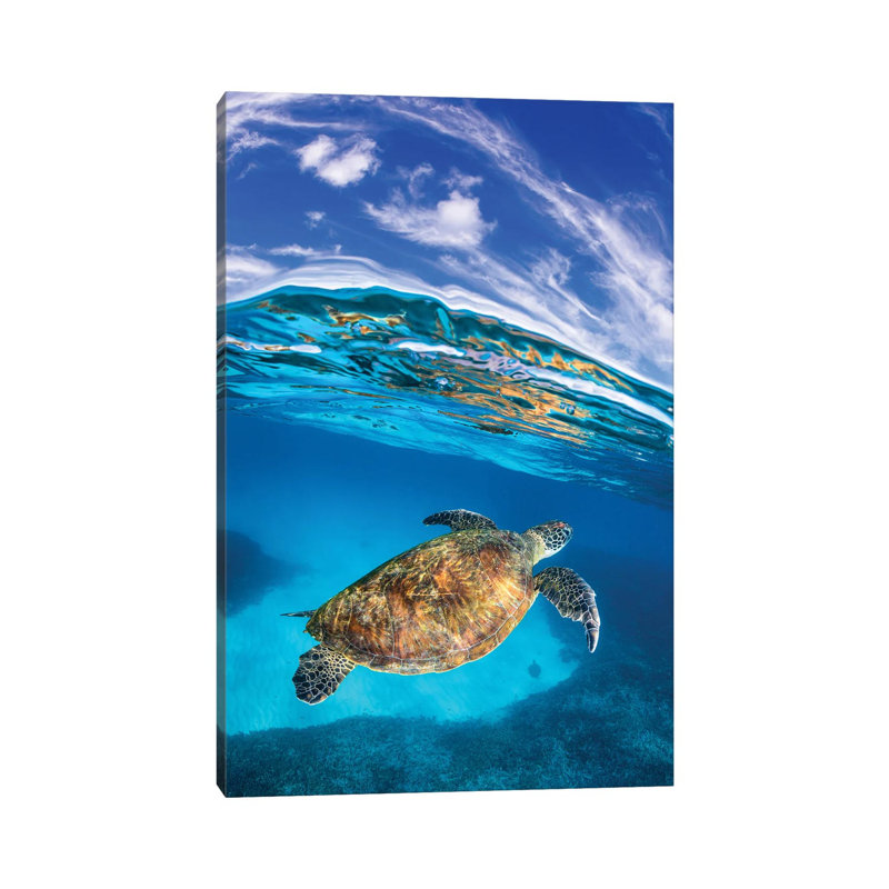 Rise Out Of The Blue Vertical by Jordan Robins - Wrapped Canvas Print, 20.32 cm H x 30.48 cm W