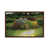 Classic Wood Framed is unavailable