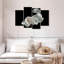Poisson Betta blanc Brampt-108836190