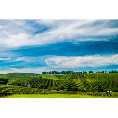 Vineyards Along the Moselle River, Luxembourg 1 Piece Wrapped Canvas Wall Art