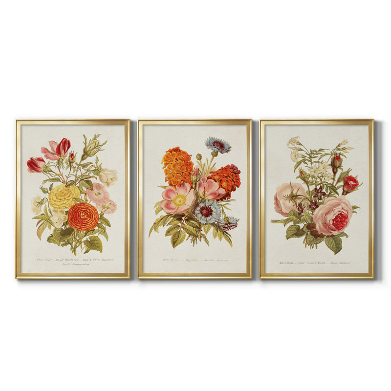 Antique Floral Bouquet I, reproduction encadrée de qualité supérieure - prête à être accrochée, Cadre doré, Pas de tapis