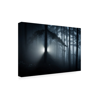 Art sur toile «ologic »