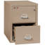Fireproof 2 - Drawer File Cabinet-331490-12136689-216453
