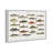 " American Fish " Painting Print-61815334-61815345