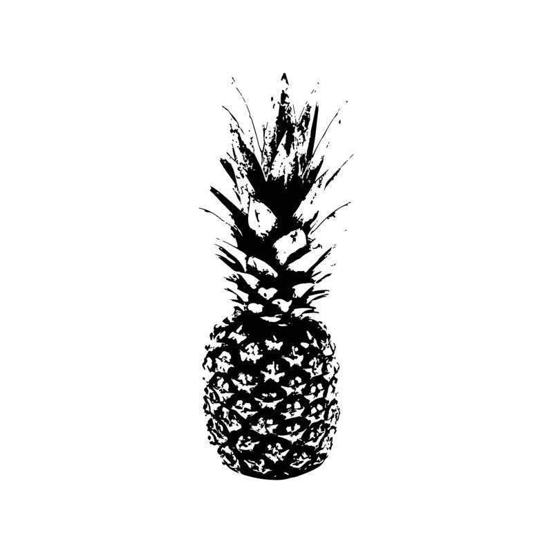 Ananas noir et blanc par Pixy - peinture sur toile tendue, H 60 po x l 40po x P 1,5 po