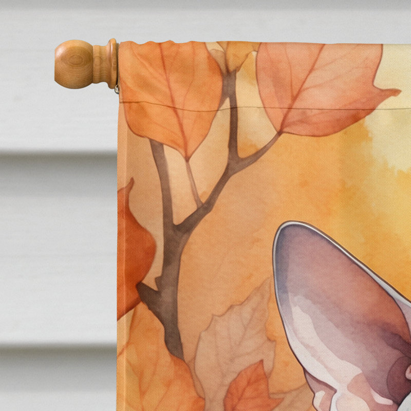 Chat en feuilles d'automne, Minskin