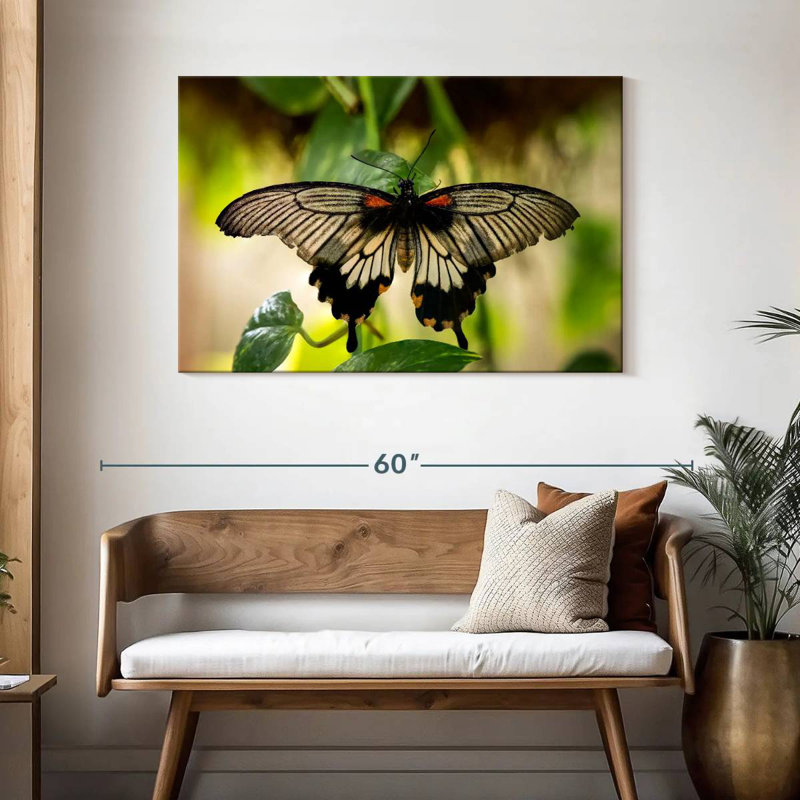 Monarch Butterfly, 30" H x 45" W